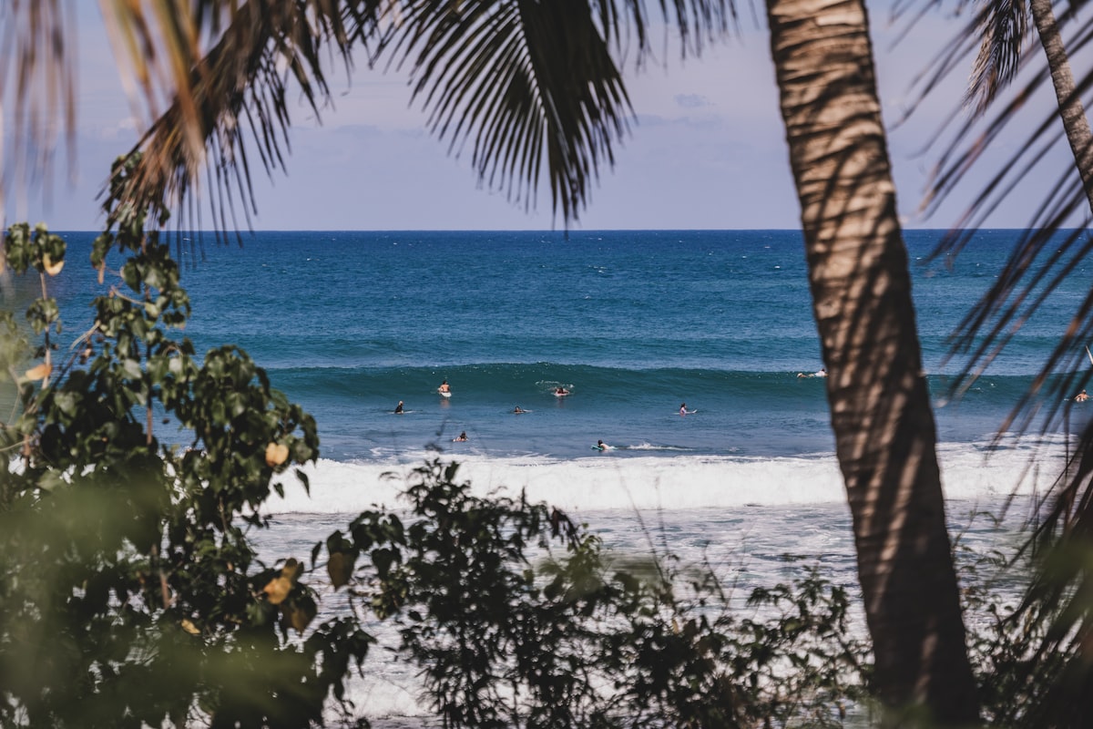 Surfers near the shoreline in Puerto Rico